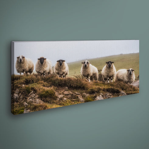 PANORAMIC - THE NOLANS - 1.2m x 50cm